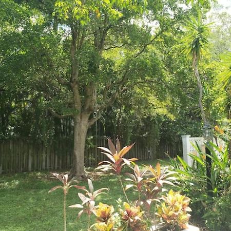 Apts With Backyard Near Fort Lauderdale Beach, Nightlife, Cruise Port, Airport Dış mekan fotoğraf