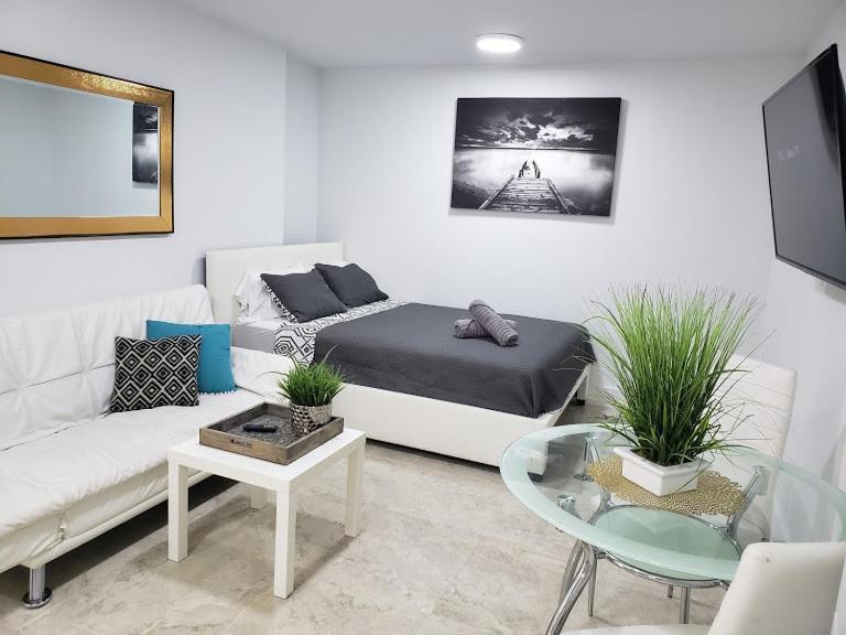 Apts With Backyard Near Fort Lauderdale Beach, Nightlife, Cruise Port, Airport Dış mekan fotoğraf
