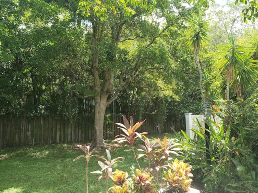 Apts With Backyard Near Fort Lauderdale Beach, Nightlife, Cruise Port, Airport Dış mekan fotoğraf